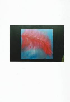 Pluma