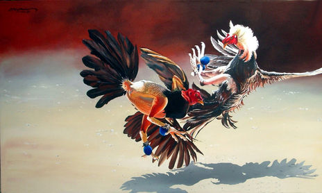 GALLOS DE PELEA