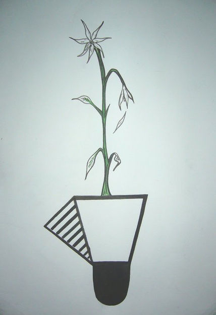 Flor de la soledad...