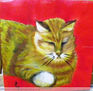Gato durmiendo