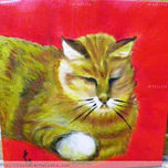 ANIMALES thumbnail 1
