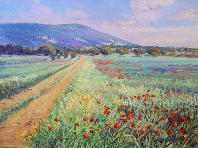 Montes de Toledo en primavera Oil Canvas Landscaping