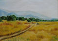 PAISAJE SIERRA DE MADRID EN PASTEL