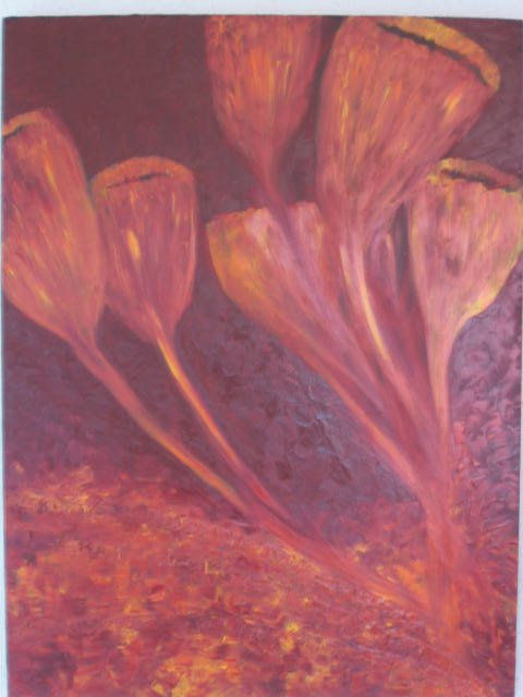 flowers of phoenix