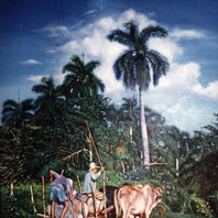obra
