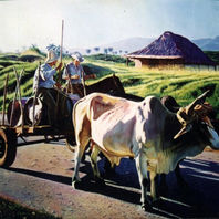 obra