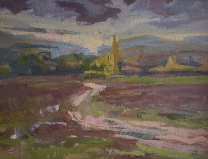 Dia de tormenta