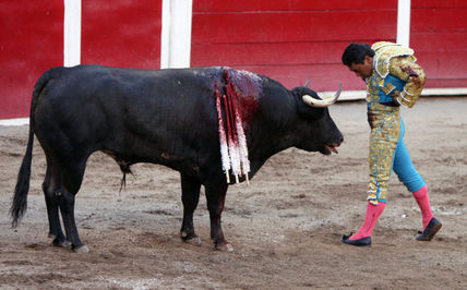 El Sotoluco