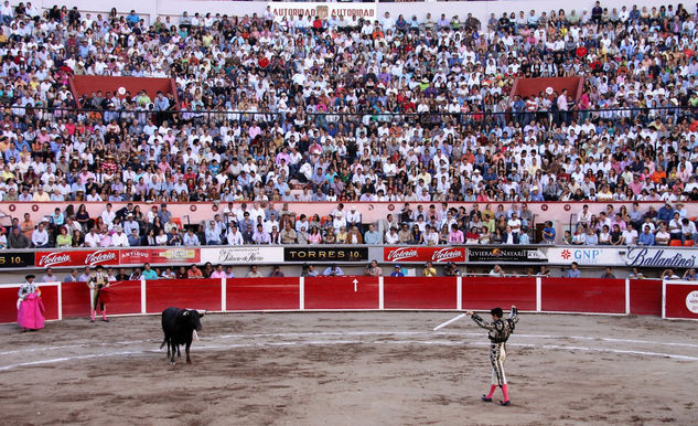 Feria de San Marcos Deportiva Color (Digital)