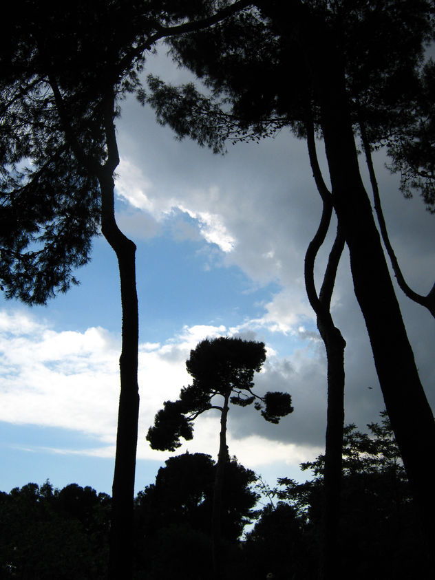 HACIA EL CIELO