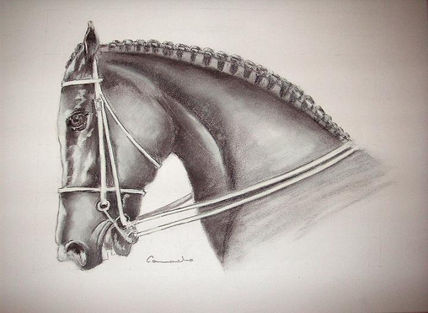 Cabeza de caballo...