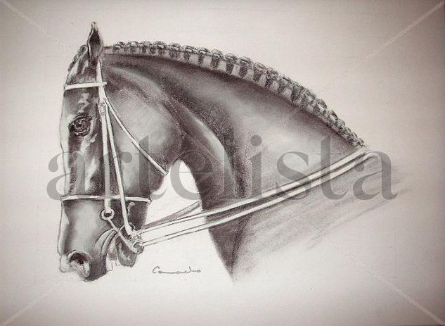 Cabeza de caballo inglés con las crines trenzadas. Mixed Media