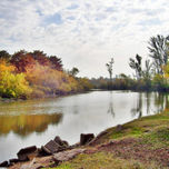 BELLEZA EN OTOÑO thumbnail 1