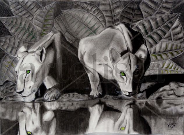Felinos