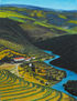 RIO DOURO