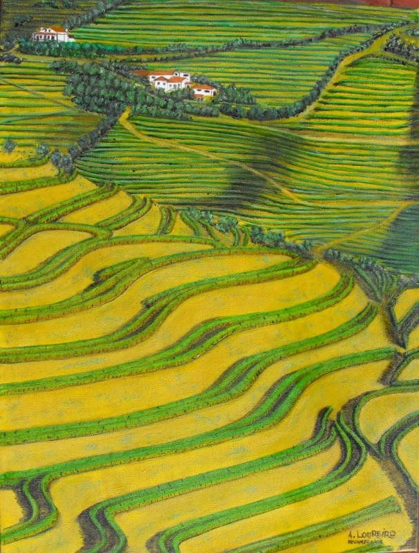 DOURO VINHATEIRO