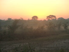 Amanecer Naturaleza Color (Química)