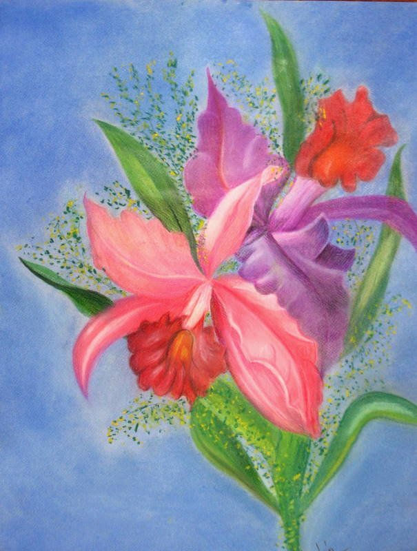 ORQUIDEAS II