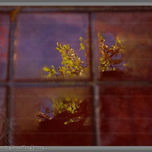 Color thumbnail 1