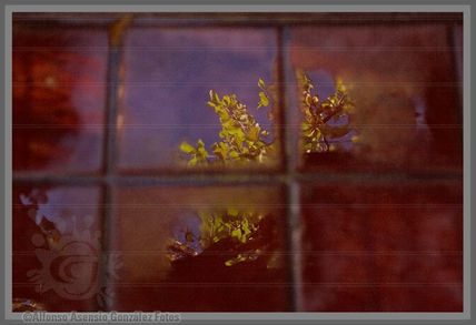 Abstracción...