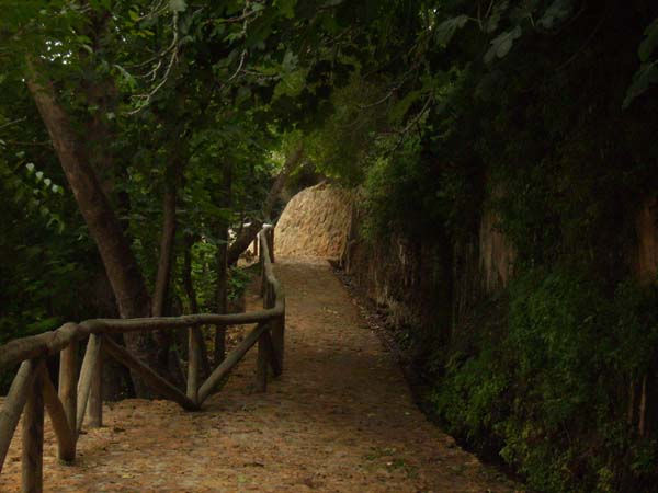 El Tunel Naturaleza Color (Química)