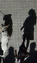 SOMBRAS HUMANAS (serie)