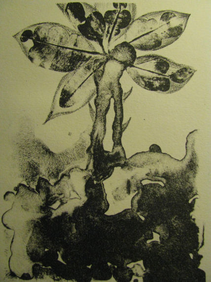 Flora 1