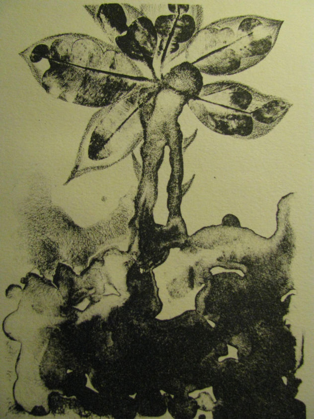 Flora 1