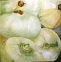Cebolla blanca