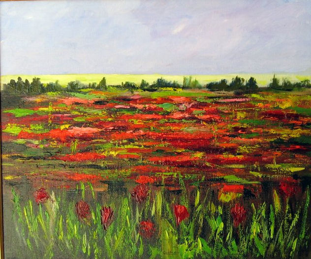 CAMPO DE AMAPOLAS   EN  MALLORCA
