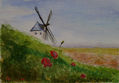 CAMPO DE AMAPOLAS CON MOLINO