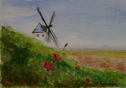 Campo de amapolas...