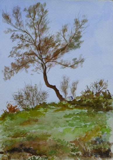 PAISAJE DE MORALZARZAL, ARBOL INCLINADO Watercolour Paper Landscaping