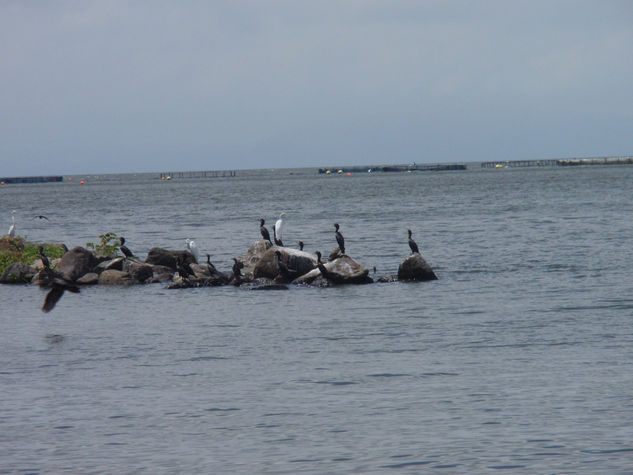 Lago cocibolca o de nicaragua 