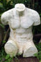 Torso masculino