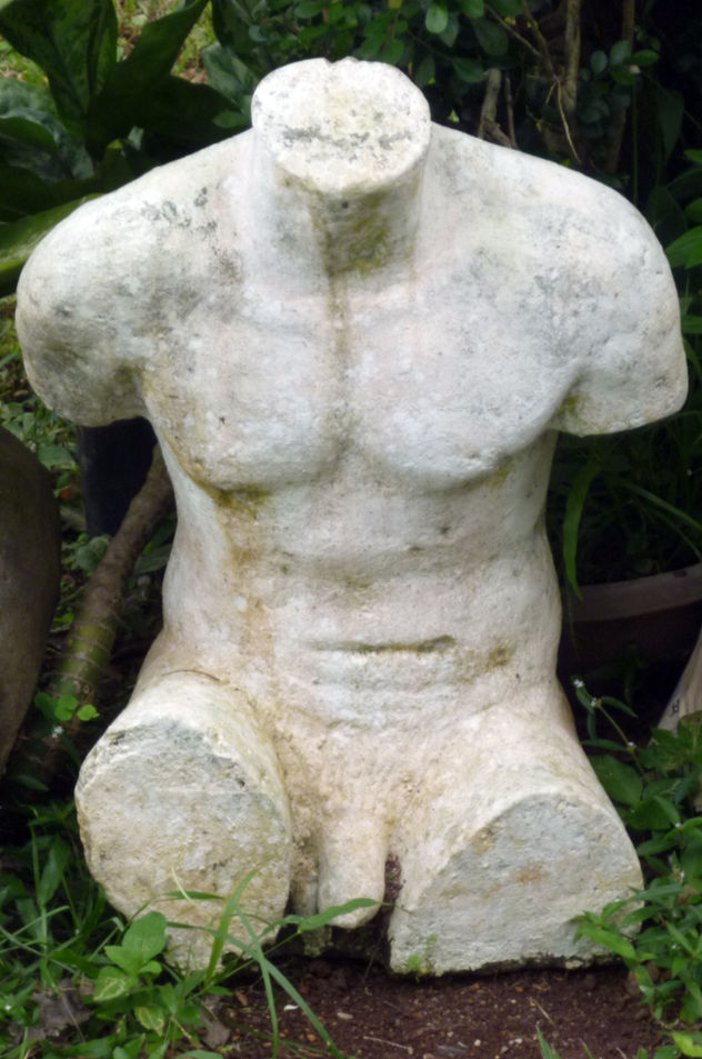 TORSO MASCULINO