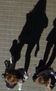 SOMBRAS HUMANAS (serie)