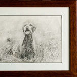 Dibujos Animales thumbnail 1