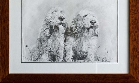 Dibujos Animales