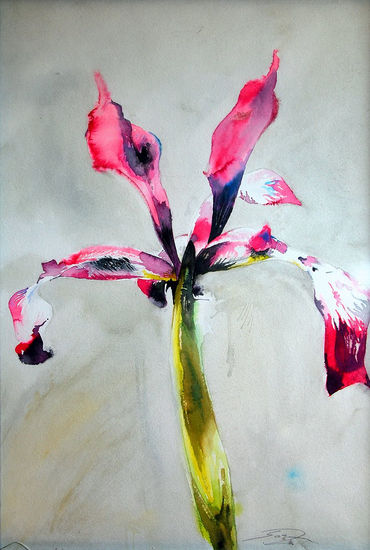 armonía Watercolour Paper Floral Painting