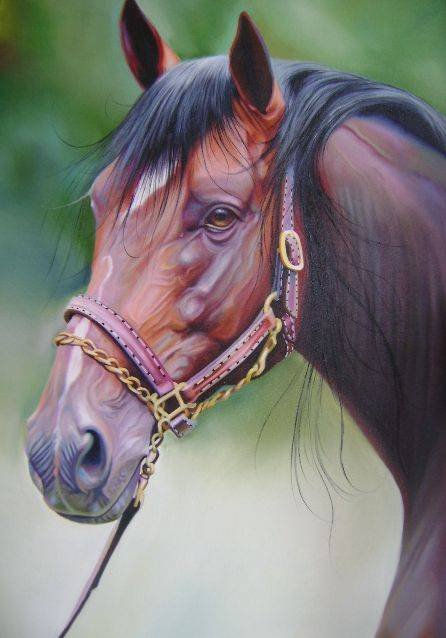 Caballo 1