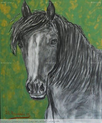 Black horse