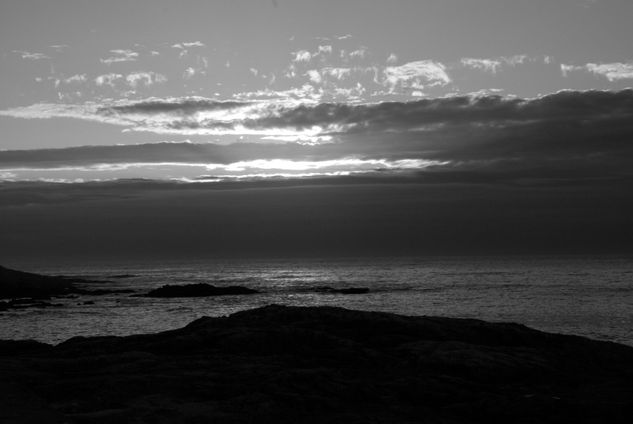 cielo Naturaleza Blanco y Negro (Digital)