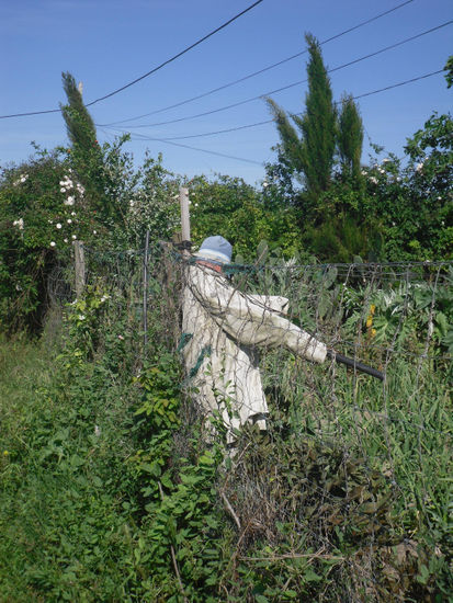 EL GUARDIAN 