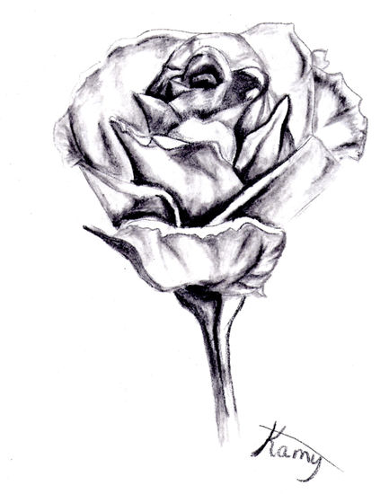 Rosa Charcoal