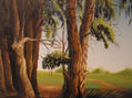 bosque deseado