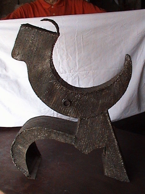 Toro cara B