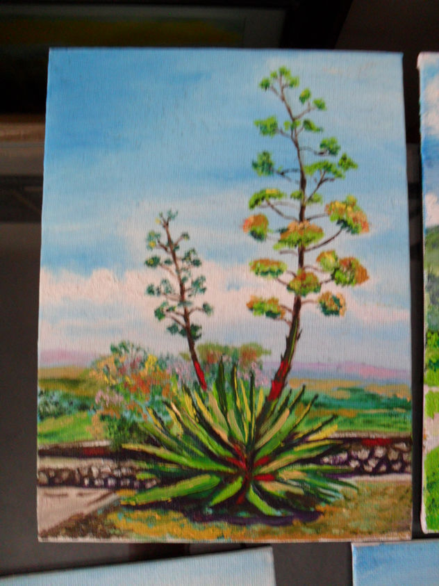 maguey