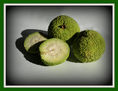 FRUTO EXOTICO