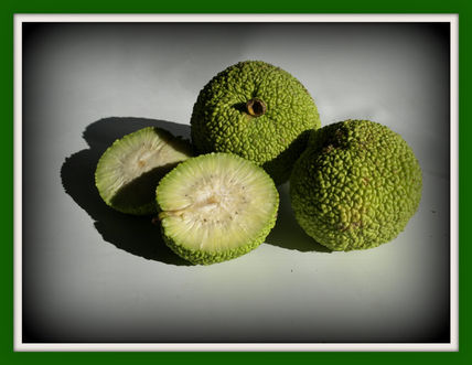 Fruto exotico